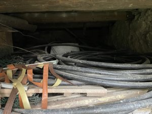 IMG_3037.JPG