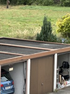 IMG_8106.jpeg