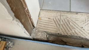 IMG_5338.jpeg