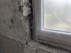PXL_20240923_121503255.jpg