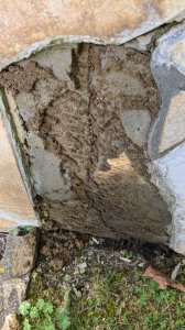 links Fliese abgefallen.jpg