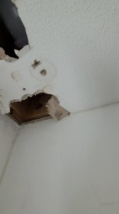 VideoCapture_20240925-093758.jpg
