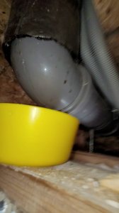 VideoCapture_20240925-093817.jpg