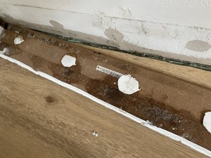 IMG_3194.jpeg