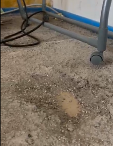 Screenshot 2024-09-26 155935.png