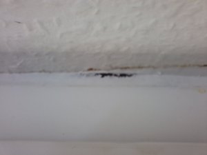 20240928_104738.jpg