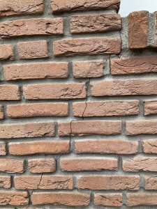 IMG_2201.jpeg