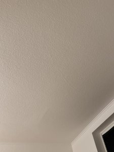 IMG_3059.jpeg