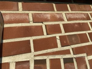 IMG_5211.jpeg