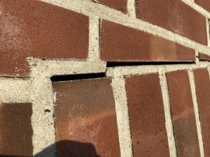 IMG_5208.jpeg