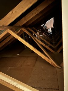 IMG_7101.JPG