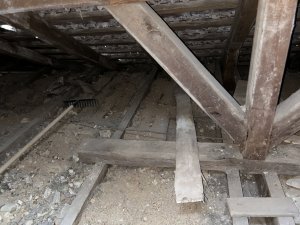 IMG_6096.jpeg