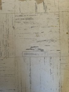 IMG_3687.jpeg