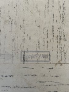 IMG_3686.jpeg