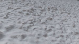 IMG_20241013_081437_187.jpg