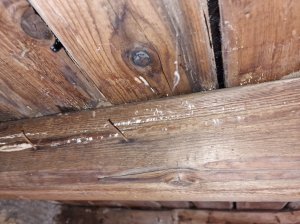 Schadstelle von Innen.JPEG