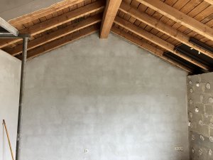 IMG_3422.jpeg