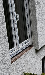IMG_6725.jpeg