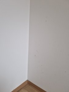 geteilte Wand mit Wohnzimmer aber immer noch Schlafzimmer hier Boden.jpg