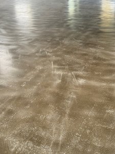 IMG_9450.jpg
