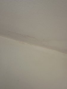 IMG_7968.jpeg