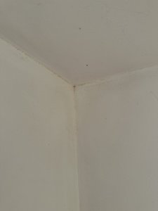 IMG_7967.jpeg