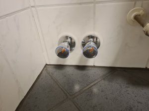20241017_202937.jpg