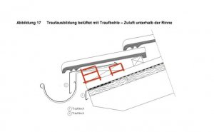 IMG_1555.jpeg