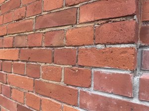 IMG_1220.jpeg