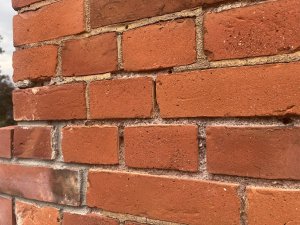 IMG_1218.jpeg