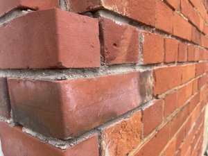 IMG_1219.jpeg