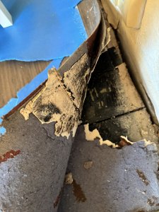 IMG_6204.jpeg