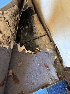 IMG_6206.jpeg