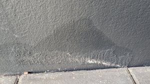PXL_20241026_094142234.jpg