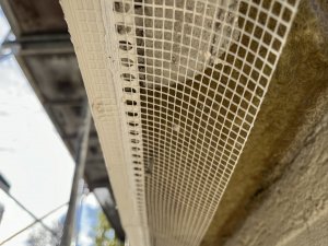 IMG_6244.jpeg
