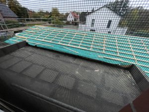 IMG_6711.jpeg
