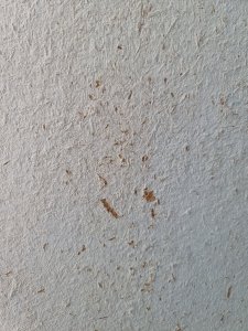 20241030_111117.jpg