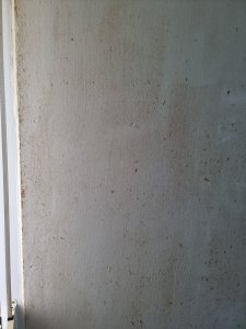 20241030_111131.jpg