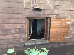 IMG_1231.JPG