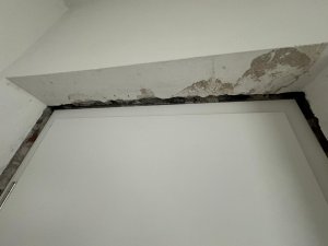 WhatsApp Bild 2024-11-02 um 12.52.04_dc935673.jpg