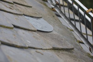 IMG_4333.JPG