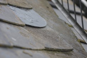 IMG_4334.JPG
