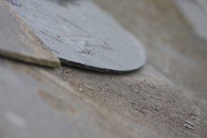IMG_4335.JPG