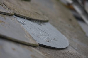 IMG_4338.JPG