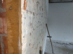 IMG_20241104_153917.jpg