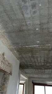 IMG_9729.jpeg