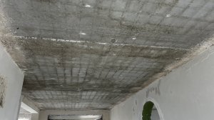 IMG_9730.jpeg