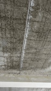 IMG_9732.jpeg