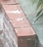 Mauerabdeckung 01.jpg