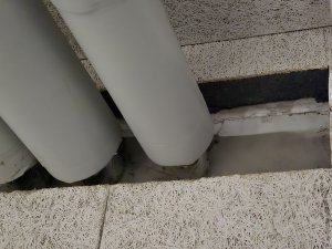 20241015_204402.jpg